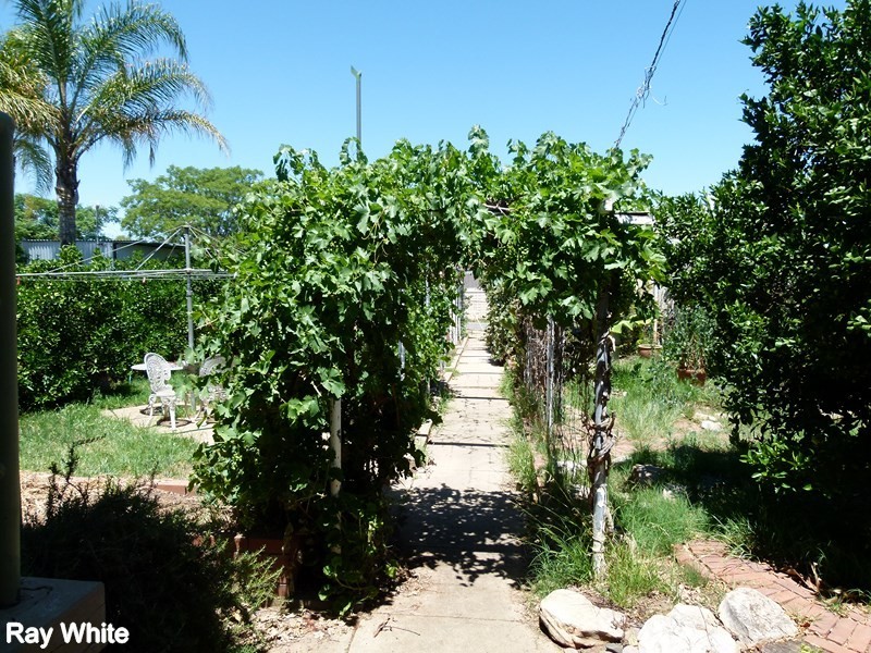 34 Farrand Street, Forbes NSW 2871