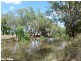 202 River Road, Forbes NSW 2871