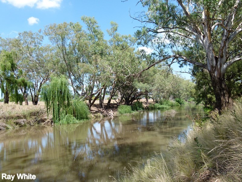202 River Road, Forbes NSW 2871