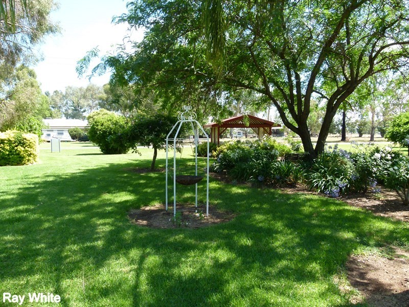 202 River Road, Forbes NSW 2871