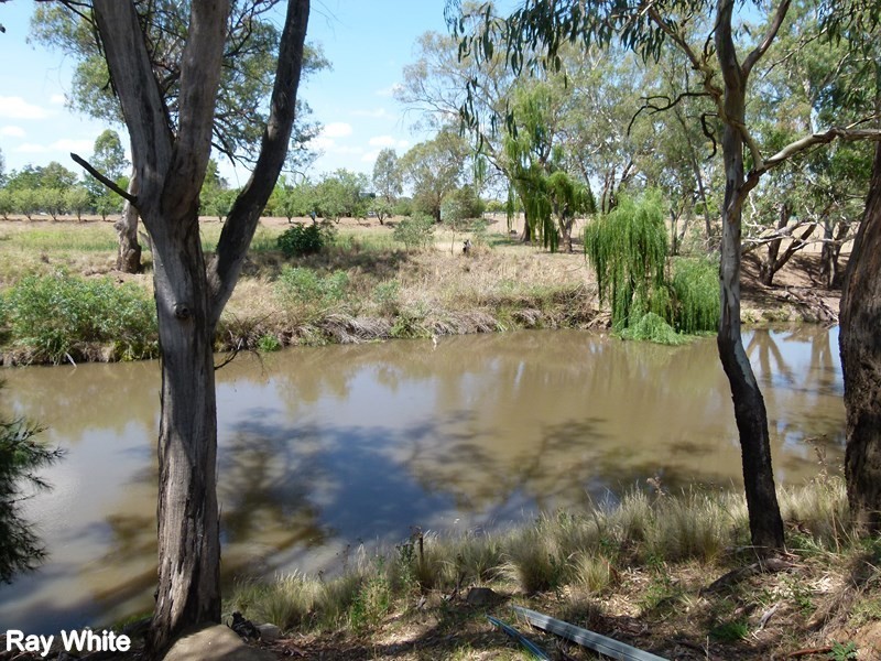 202 River Road, Forbes NSW 2871