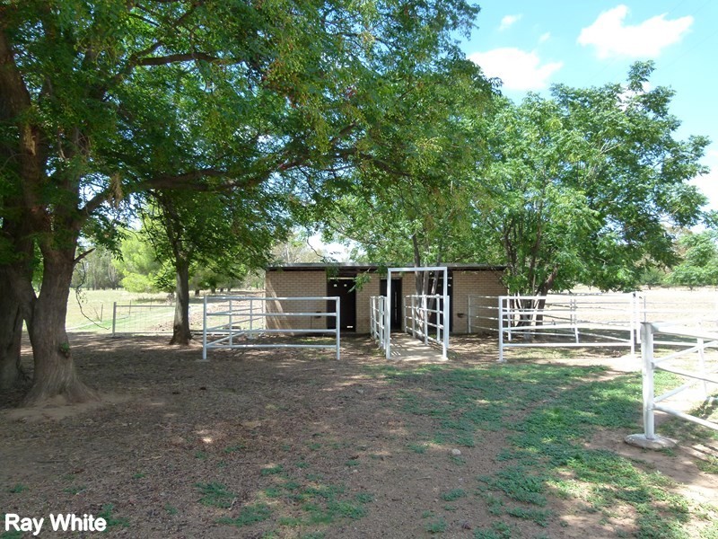 202 River Road, Forbes NSW 2871