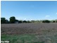 202 River Road, Forbes NSW 2871