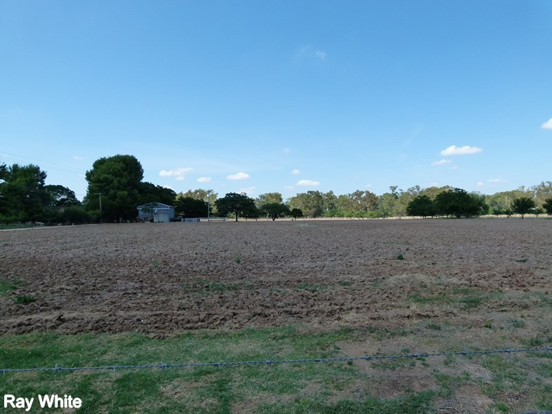 202 River Road, Forbes NSW 2871
