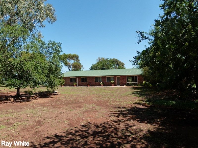 365 Calarie Road, Forbes NSW 2871