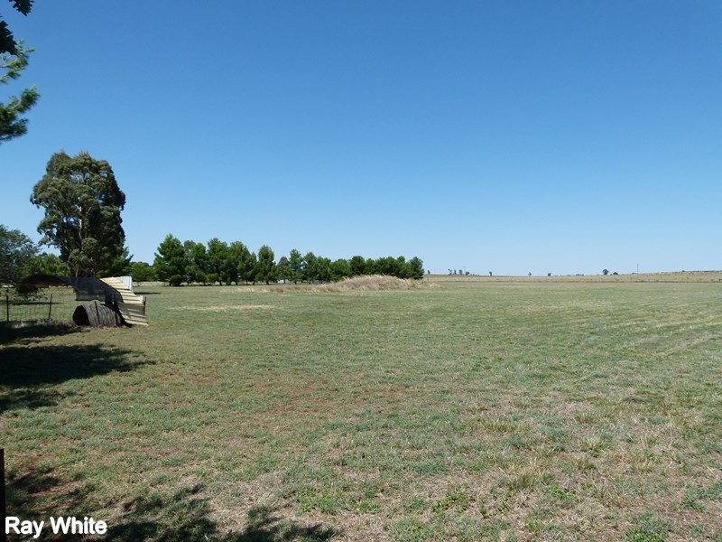 365 Calarie Road, Forbes NSW 2871