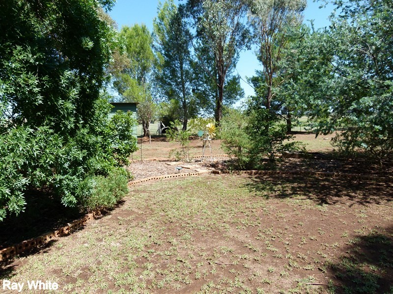 365 Calarie Road, Forbes NSW 2871