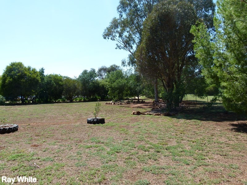 365 Calarie Road, Forbes NSW 2871