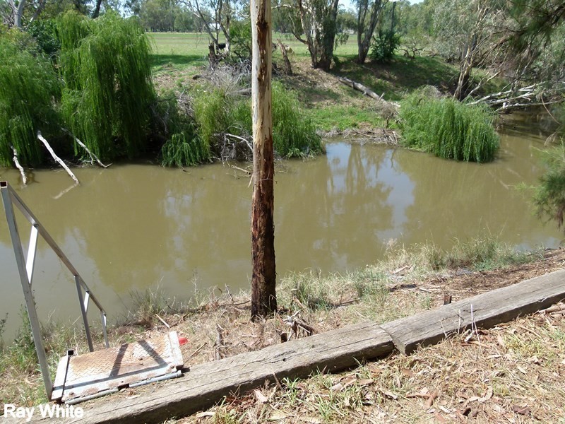 113 Bathurst Street, Forbes NSW 2871