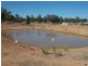 119 Deep Lead Road, Parkes NSW 2870