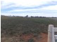 Lot 12 Goldrush Road, Parkes NSW 2870