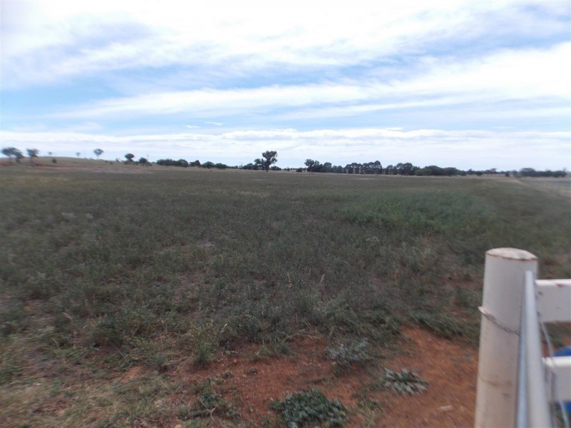 Lot 12 Goldrush Road, Parkes NSW 2870