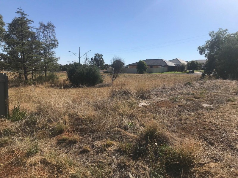 37 Blaxland Street, Parkes NSW 2870