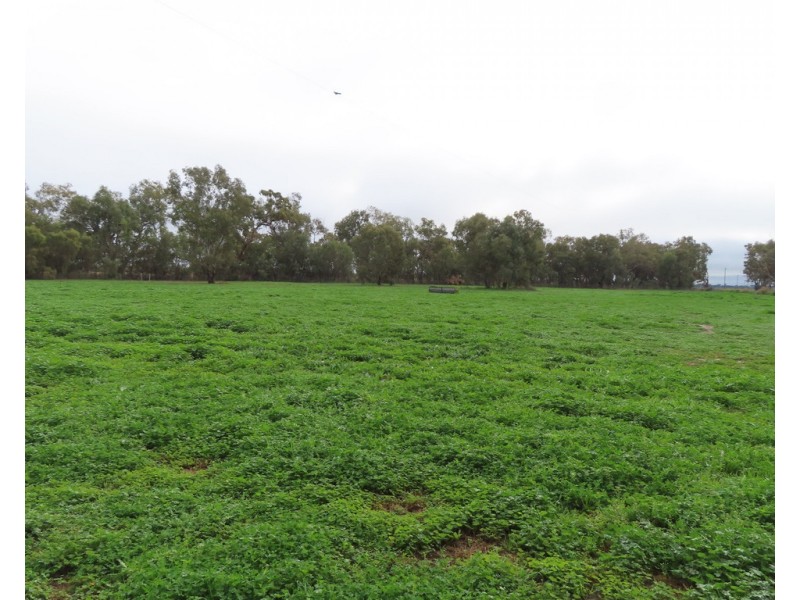 “COOINDA” 69 Cooinda Lane, Condobolin NSW 2877