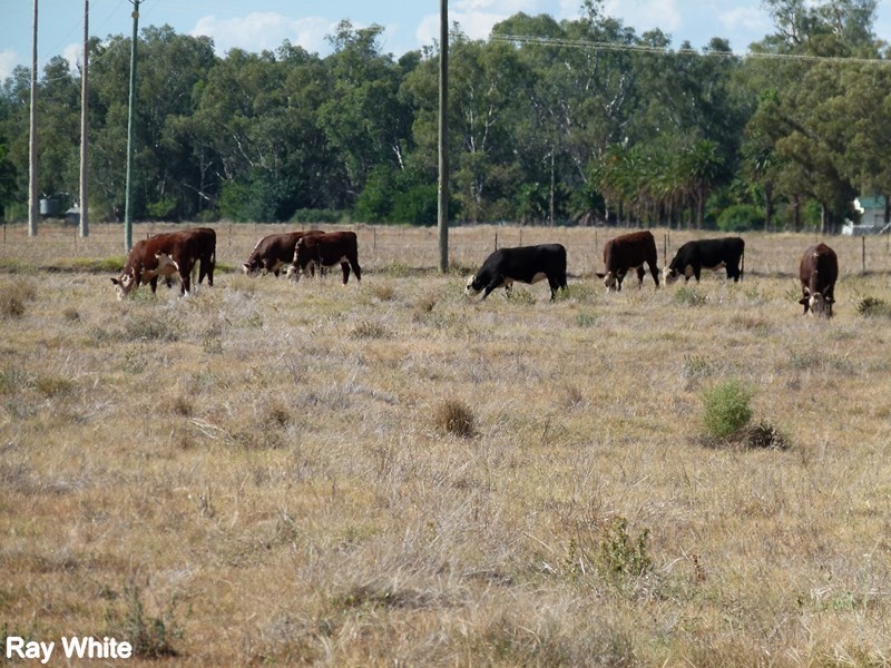 8308 Lachlan Valley Way, Forbes NSW 2871