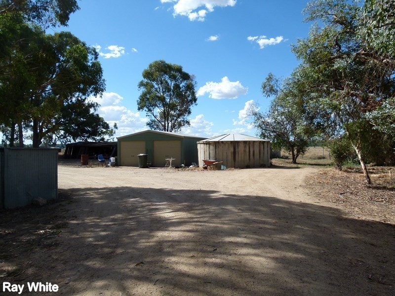 8308 Lachlan Valley Way, Forbes NSW 2871