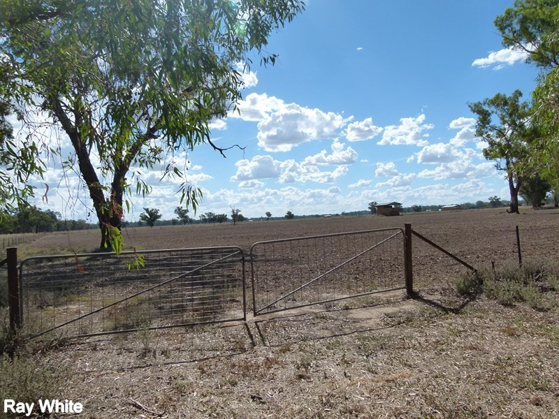 8308 Lachlan Valley Way, Forbes NSW 2871