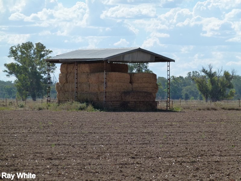8308 Lachlan Valley Way, Forbes NSW 2871