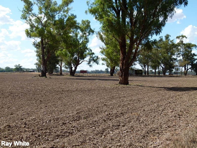 8308 Lachlan Valley Way, Forbes NSW 2871