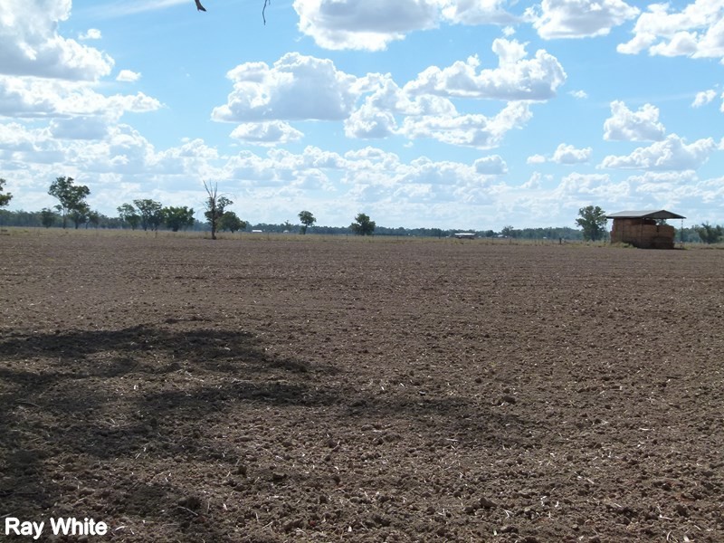 8308 Lachlan Valley Way, Forbes NSW 2871