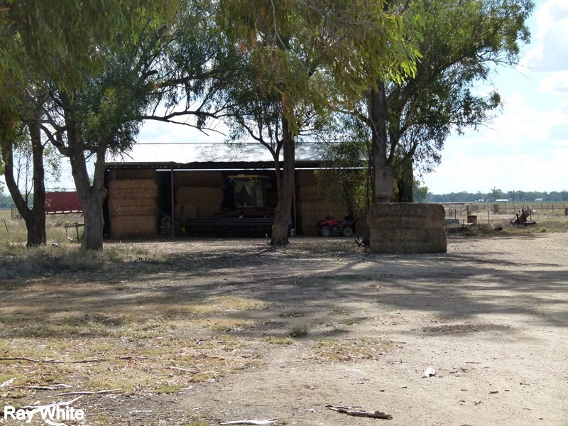 8308 Lachlan Valley Way, Forbes NSW 2871