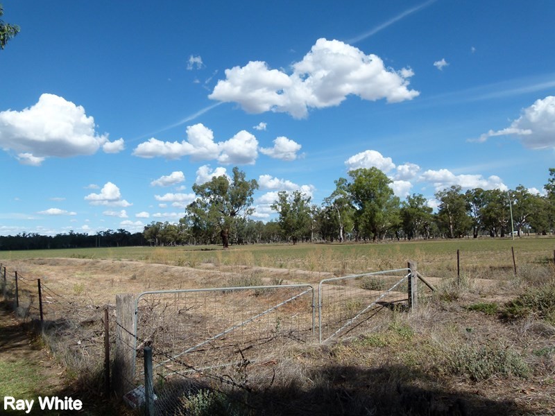 8308 Lachlan Valley Way, Forbes NSW 2871