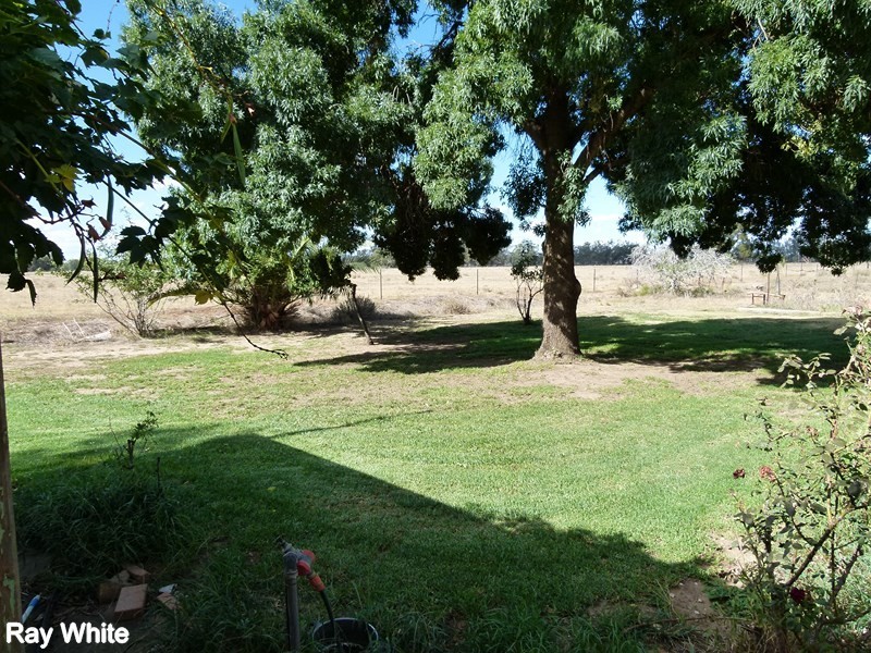 8308 Lachlan Valley Way, Forbes NSW 2871