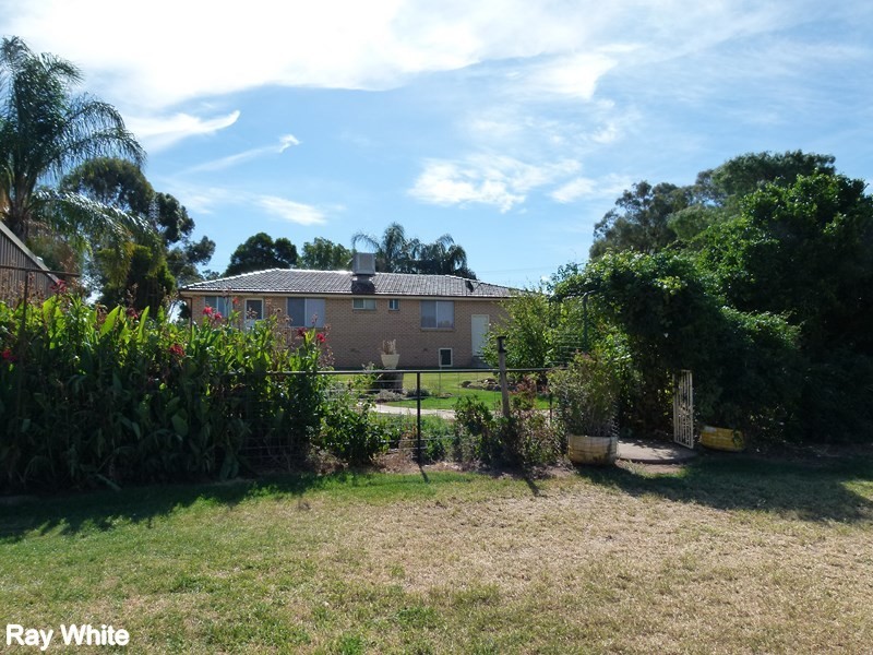 233 Farnell Street, Forbes NSW 2871