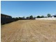 77 York Street, Forbes NSW 2871