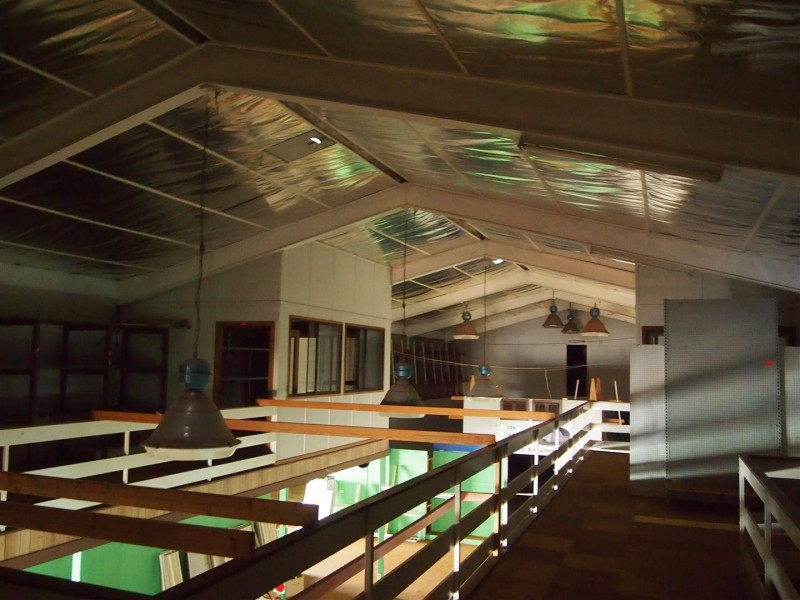 366 Clarinda Street, Parkes NSW 2870