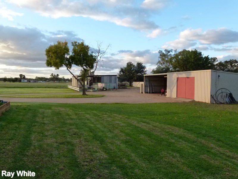 76 Rifle Range, Forbes NSW 2871