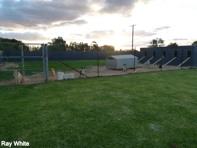 76 Rifle Range, Forbes NSW 2871