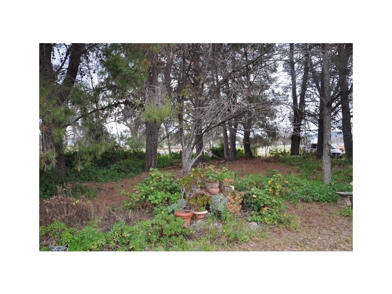 “Lutana” Pye Street, Eugowra NSW 2806