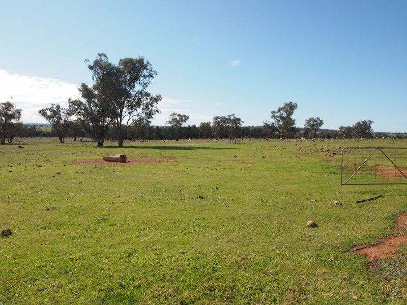 Rocky Rise 65 Millers Lookout Road, Parkes NSW 2870