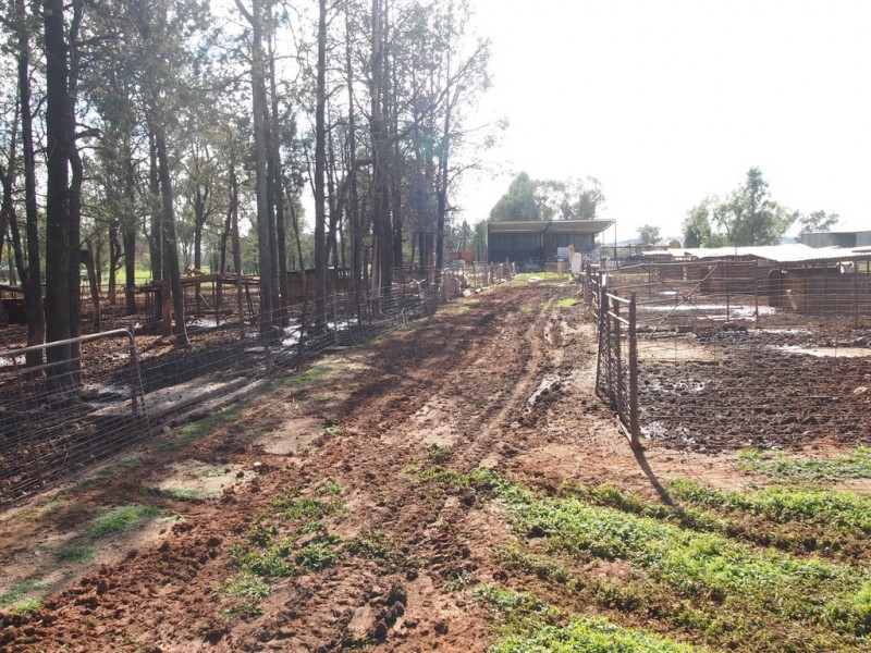 Rocky Rise 65 Millers Lookout Road, Parkes NSW 2870