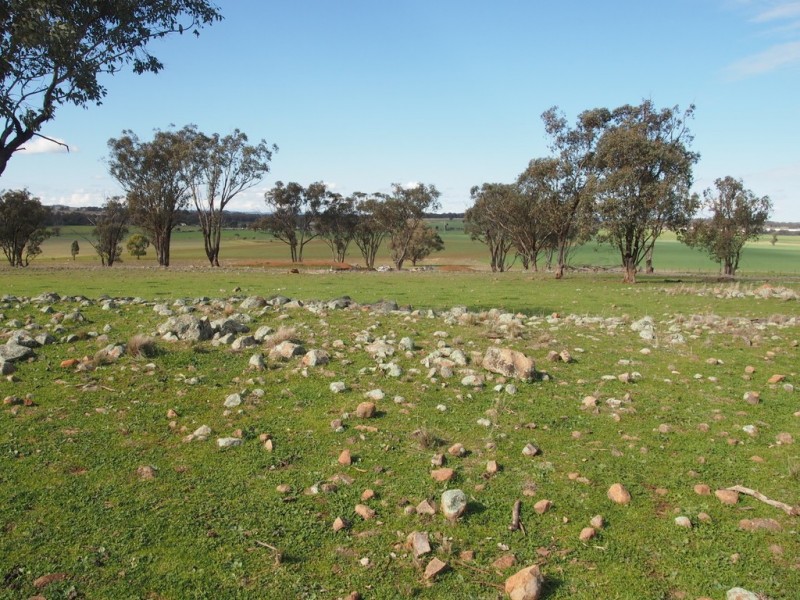 Rocky Rise 65 Millers Lookout Road, Parkes NSW 2870