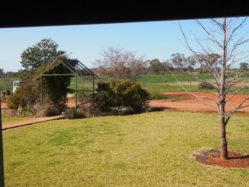 Lot 11 Worthingtons Lane, Condobolin NSW 2877