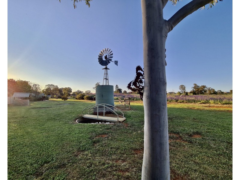 8 Birch Road, Parkes NSW 2870