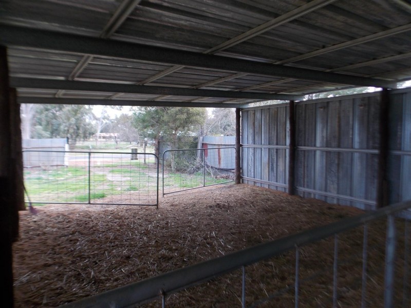 13 Hutton Street, Trundle NSW 2875