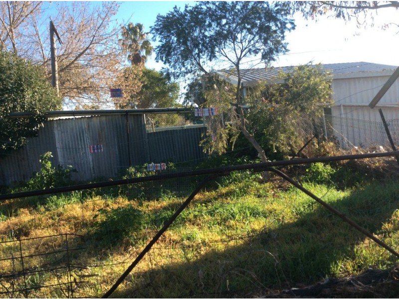 55 Forbes Street, Trundle NSW 2875