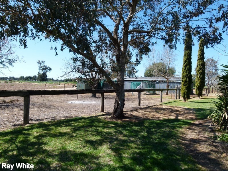 232 Bathurst Street, Forbes NSW 2871