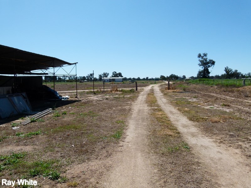 232 Bathurst Street, Forbes NSW 2871