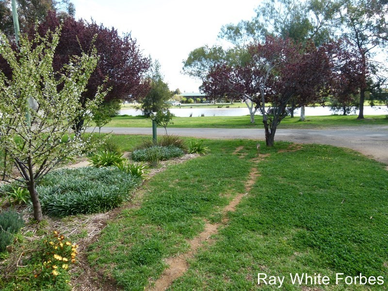 18 Hill St, Forbes NSW 2871