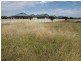 3 Marie Rose Close, Parkes NSW 2870