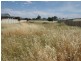 3 Marie Rose Close, Parkes NSW 2870