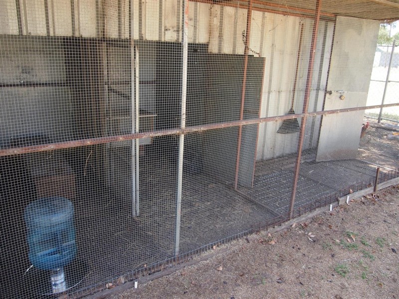 Lot 134 Flagstone Street, Cookamidgera NSW 2870
