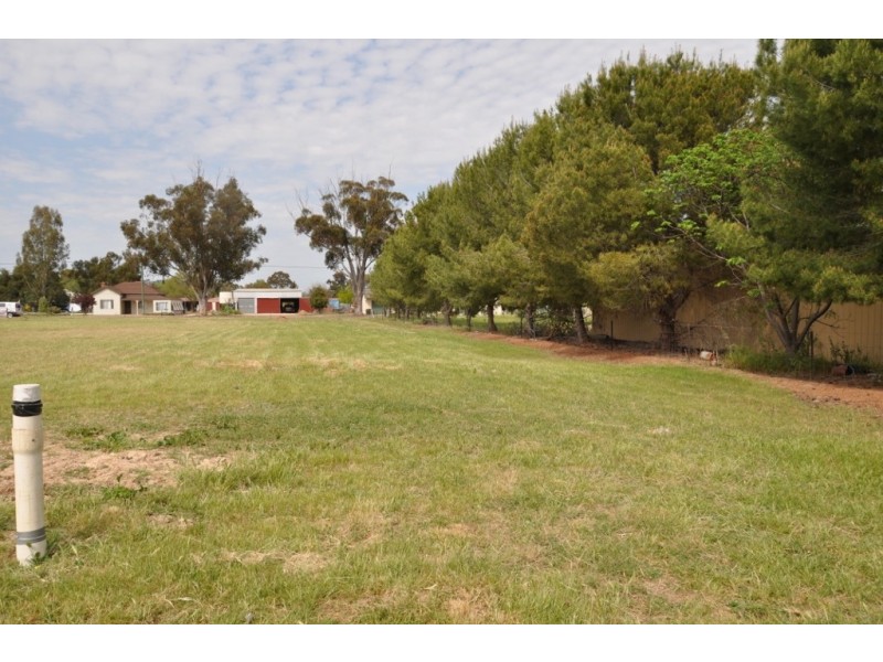 Lots 20-21 Evelyn Street, Eugowra NSW 2806