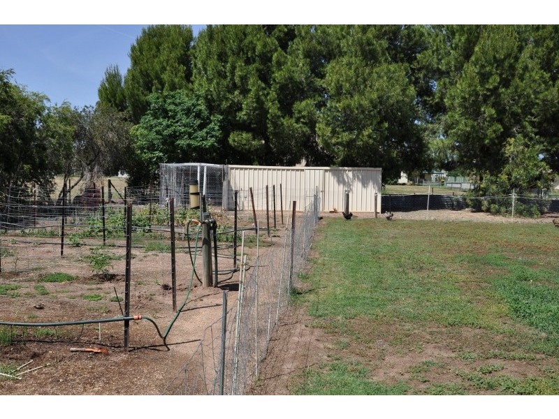 42 Pye Street, Eugowra NSW 2806