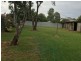 17 Thornbury Street, Parkes NSW 2870