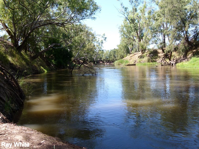 144 Salisbury Road, Forbes NSW 2871